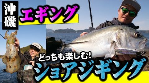 【ショアジギング&エギング】青物もアオリイカも、どっちも楽しむ！宮崎・沖磯で〇〇が爆釣⁉