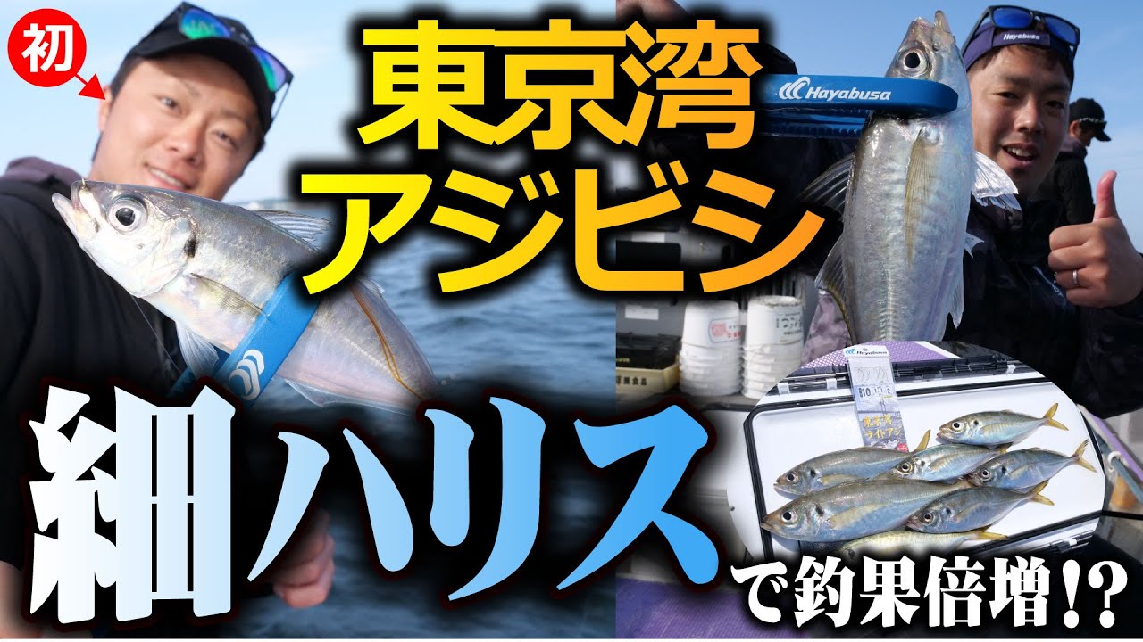 【アジビシ】細ハリスで釣果倍増⁉東京湾で楽しむアジビシ釣り！