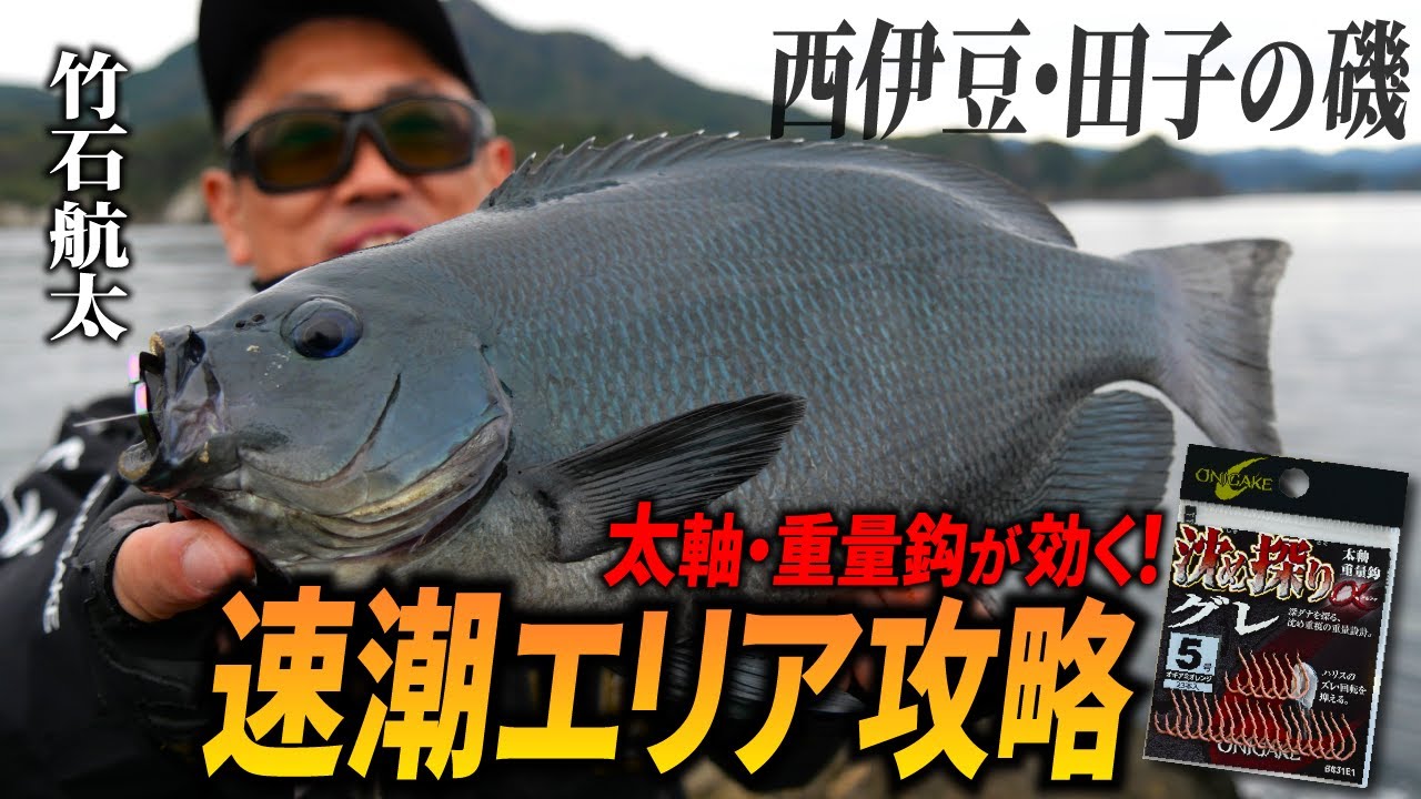 【磯釣り】西伊豆・田子で秋磯を満喫！太軸・重量鈎で速潮エリアを攻略せよ！