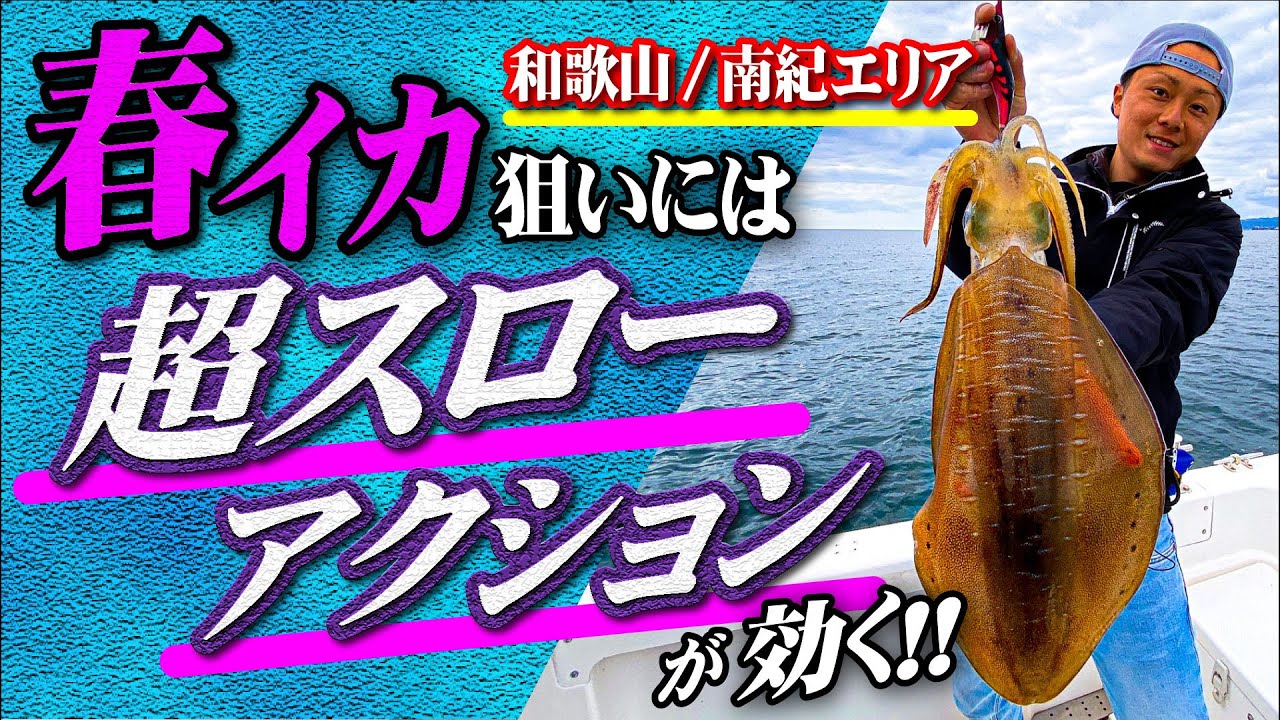 【春イカ】超スローアクションで狙う、南紀白浜ボートエギング！