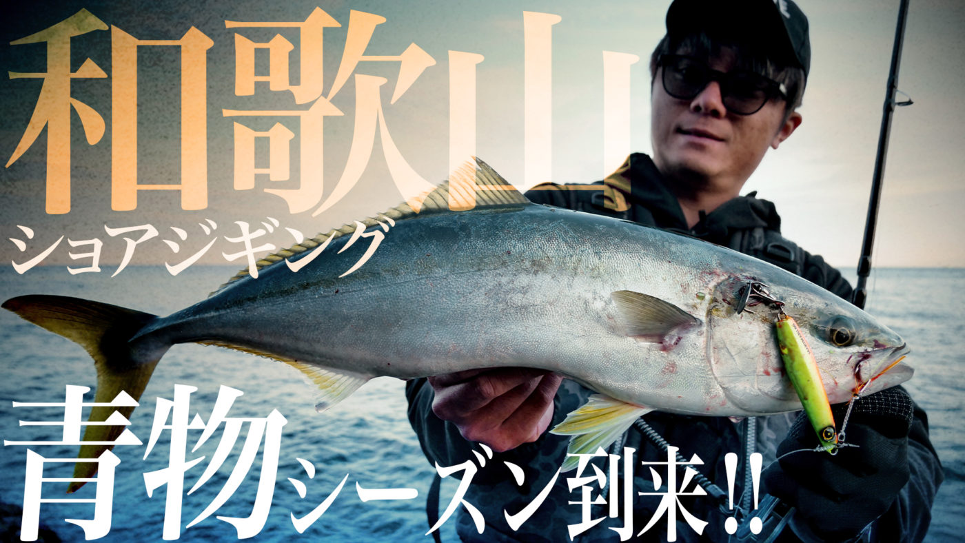 【ショアジギング】青物シーズン開幕！！和歌山ショアジギング【マキマキで初場所攻略】