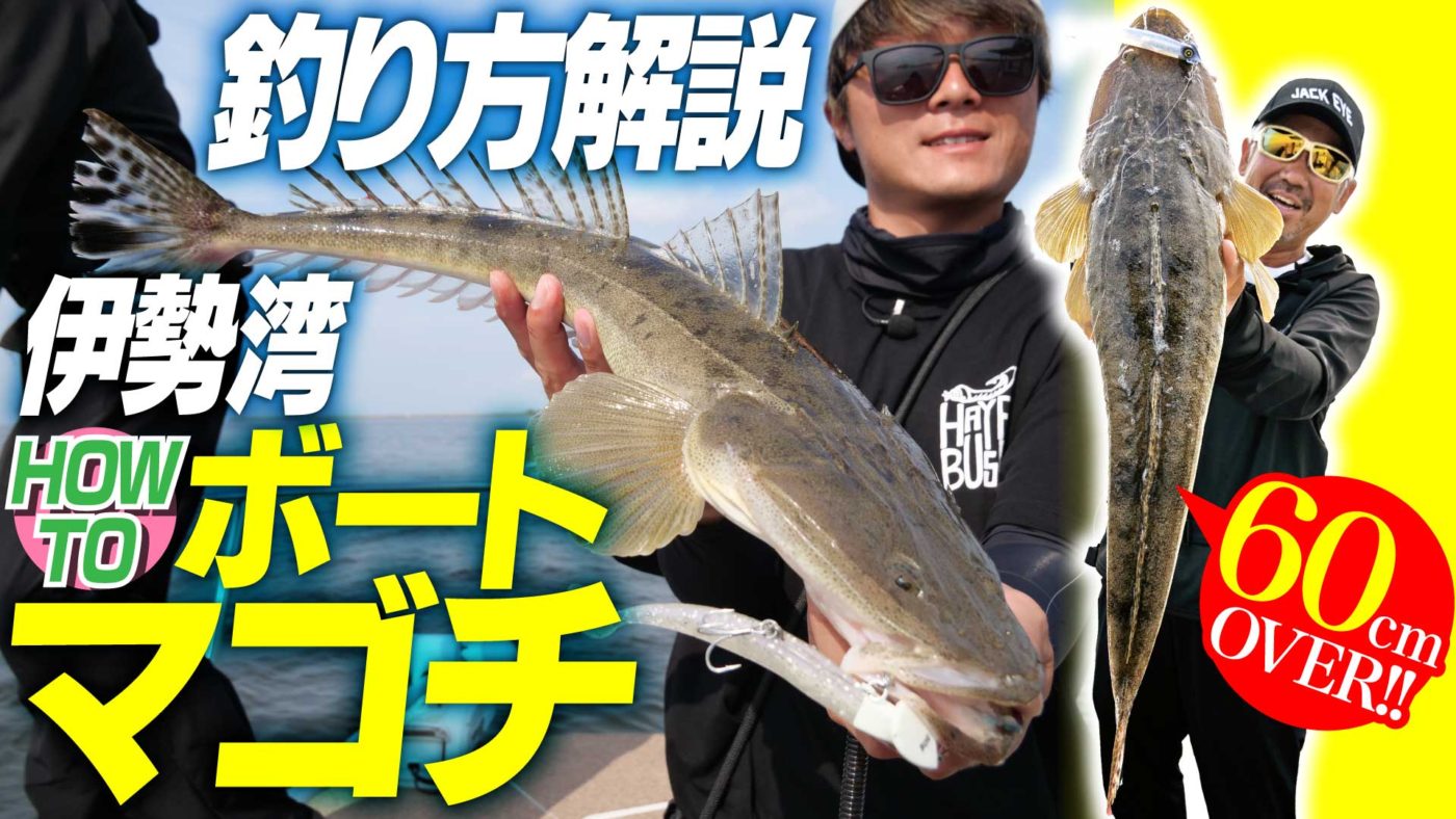 【釣り方】今マゴチが熱い！！伊勢湾HOW TOボートマゴチ｜ジャックアイ フリフリシャッド