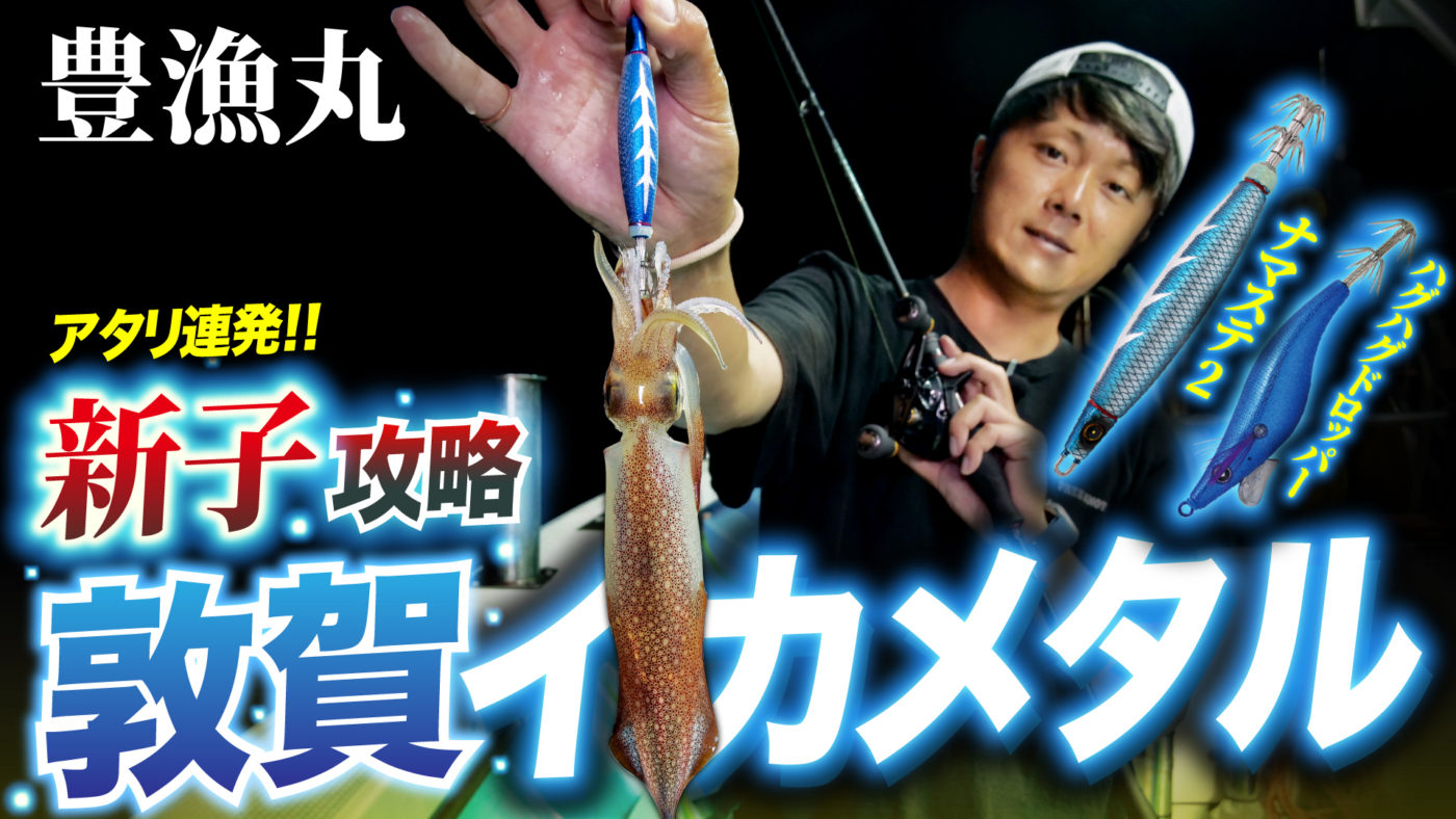 【敦賀】アタリを連発させる新子攻略法|敦賀新子イカメタル【豊漁丸】
