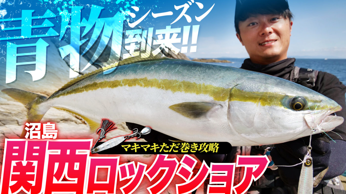 【シーズン到来】秋の青物狙い!!マキマキで狙うただ巻き青物攻略【関西ロックショア】