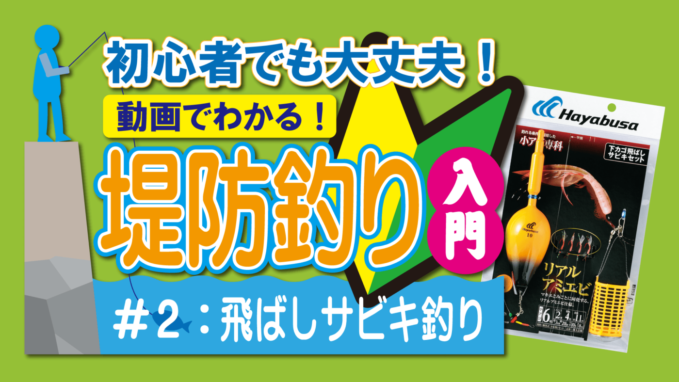 初心者でも大丈夫！動画でわかる！堤防釣り入門｜２飛ばしサビキ釣り