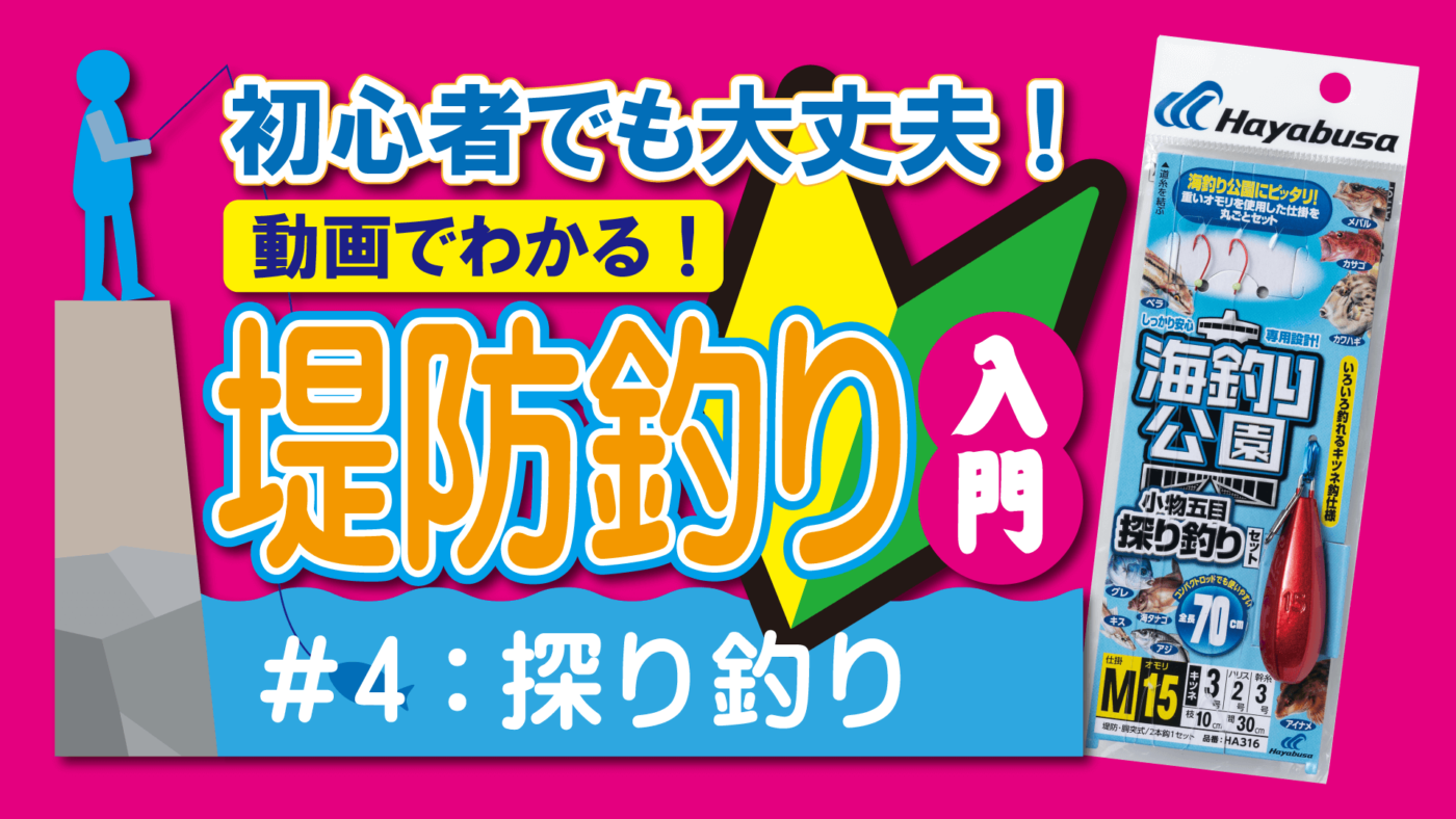 初心者でも大丈夫！動画でわかる！堤防釣り入門｜４探り釣り