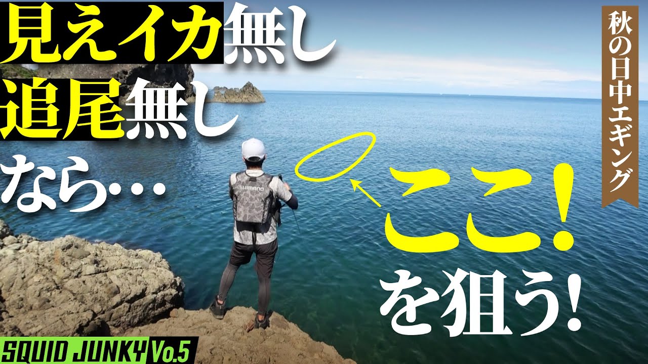 【秋の日中エギング】厳しい状況で狙うべきポイント！見えイカ無し…追尾も無し…ならここを狙う！｜スクイッドジャンキー Vo.5