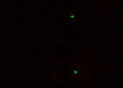 ・夜光イメージ